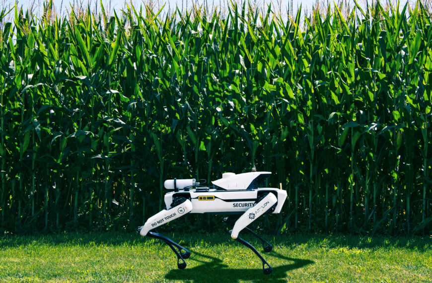 Robot Dogs Patrolling Precious Crops as Food Crisis Deepens