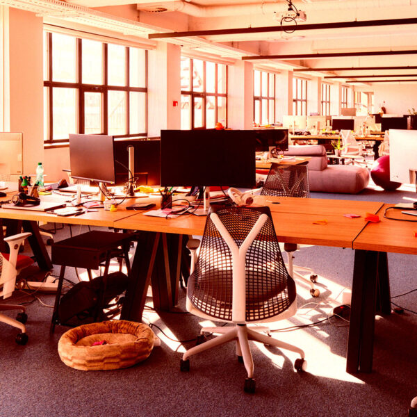 There’s Something Bizarre About the Offices of AI&hellip;