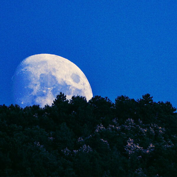 The Blue Moon Is Fake. You Are Being&hellip;