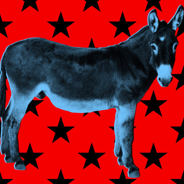Democrats’ 2024 Election Autopsy Shows Signs of Sloppy AI Generation