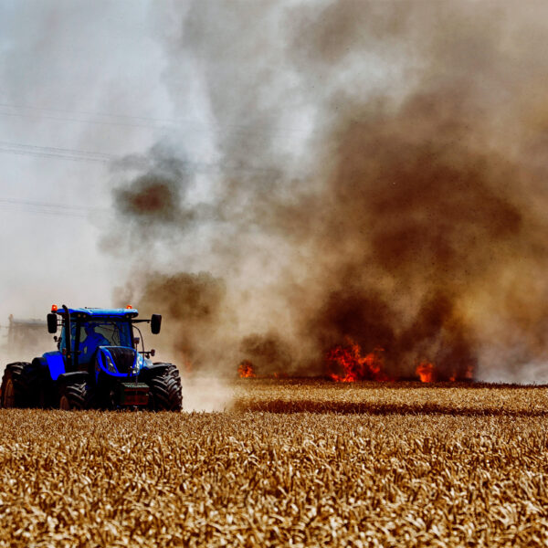 Last Time an El Niño Was This Bad,&hellip;