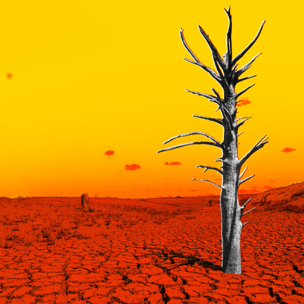 The Latest Data on El Niño Is a&hellip;