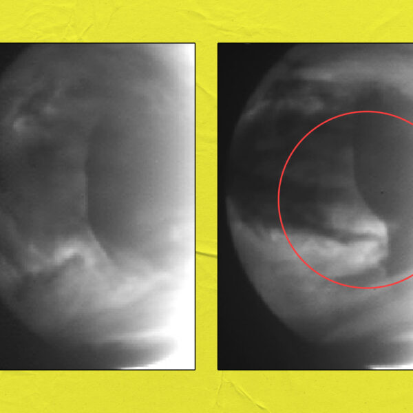 Scientists Detect Weird Anomalies in Clouds of Venus