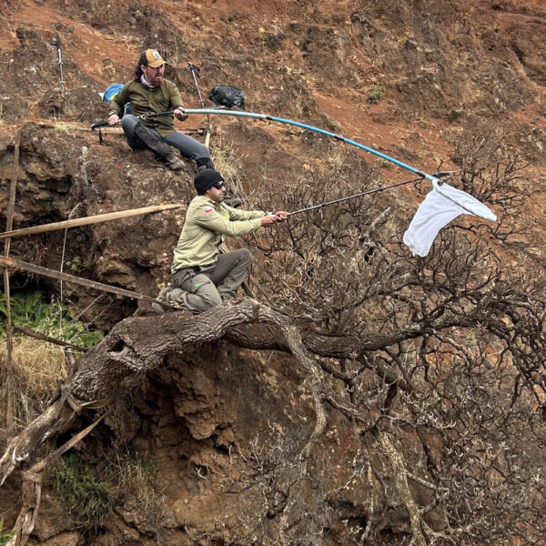 Scientists Rush to Save One of the World’s&hellip;
