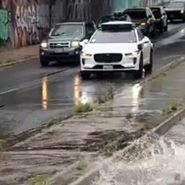 Busy Roadways Clogged as Waymo Becomes Stumped by Small Puddle