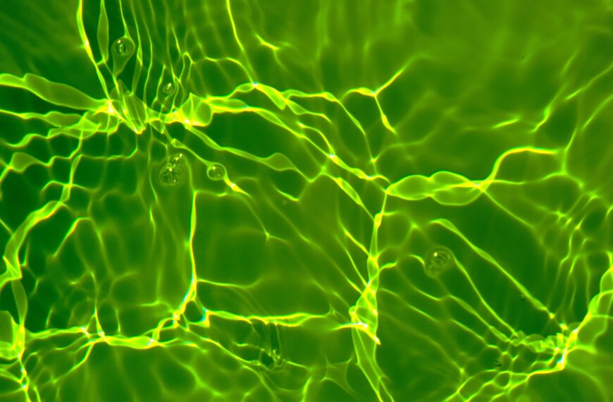 You Are Entirely Unready to Learn the Name of the Company That Accidentally Filled the Reflecting Pool With Green Algae