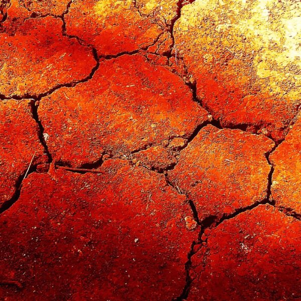 All But Five US States Are Currently Experiencing Droughts