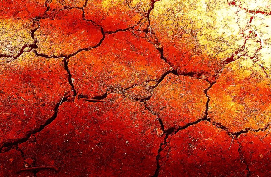 All But Five US States Are Currently Experiencing Droughts
