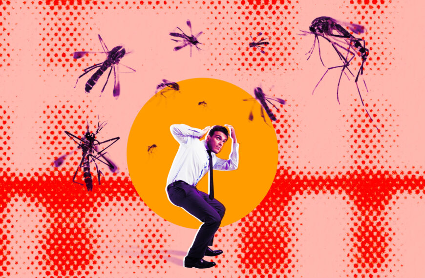 People Are Not Happy About Google’s Plan to Release Millions of Bioengineered Mosquitoes Into the Wild