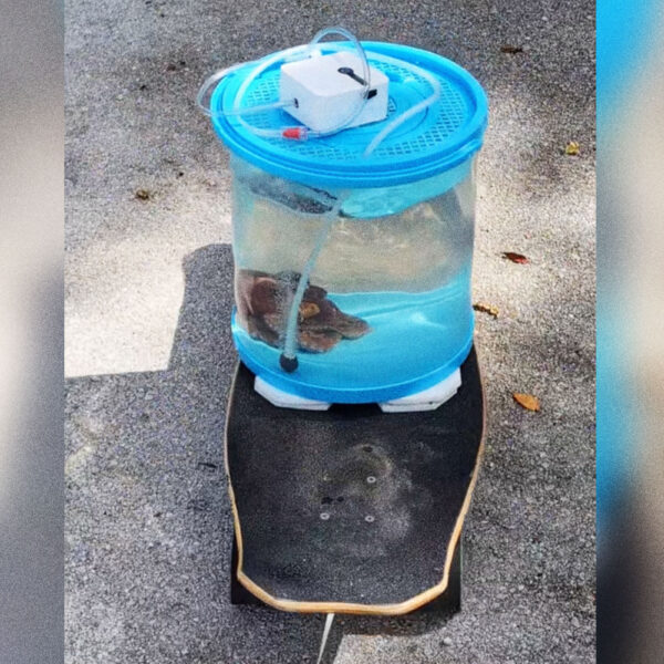 We Are Intrigued by This Man Taking His&hellip;
