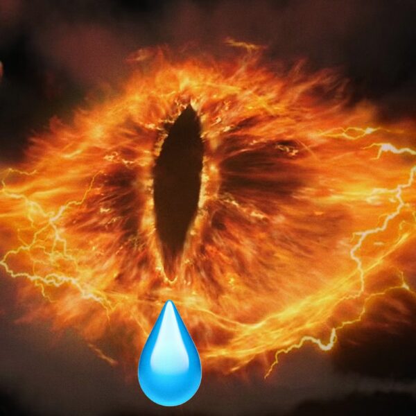 Palantir, World’s Weepiest Eye of Sauron, Sues Mayor&hellip;