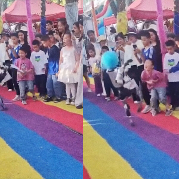 Robot in Clown Wig Roundhouse Kicks Small Child