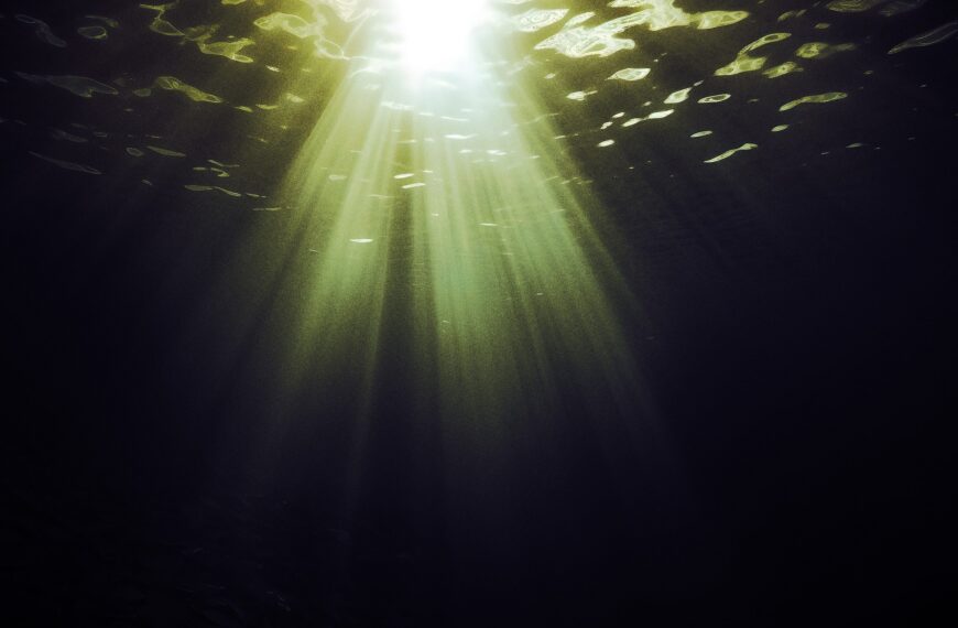 Scientists Have Detected Something Deeply Alarming at the Bottom of the Ocean