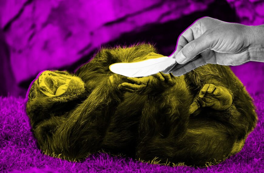 Scientists Publish Extremely Serious Research About Whether Tickling&hellip;
