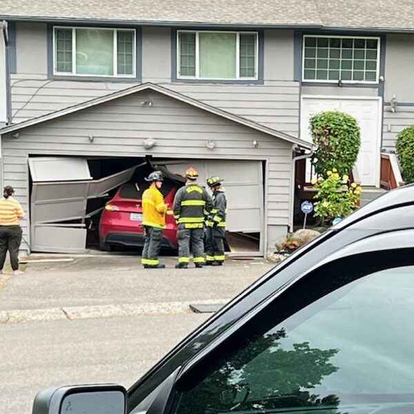 Tesla on Autopilot Smashes Straight Through Garage Door,&hellip;