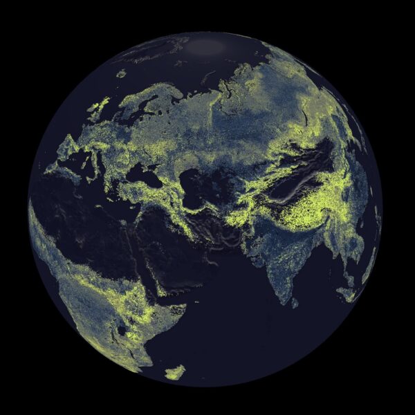 Earth’s Underground Fungus Network Is So Gigantic That&hellip;