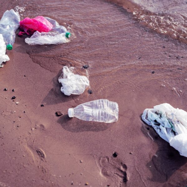 Volunteer Under Investigation for Cleaning Polluted River Without&hellip;