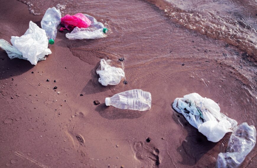 Volunteer Under Investigation for Cleaning Polluted River Without a License, Faces Two Years in Prison