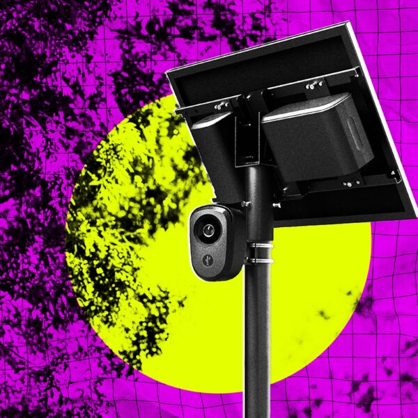 Woman Surprised When Flock Surveillance Tower Appears in&hellip;