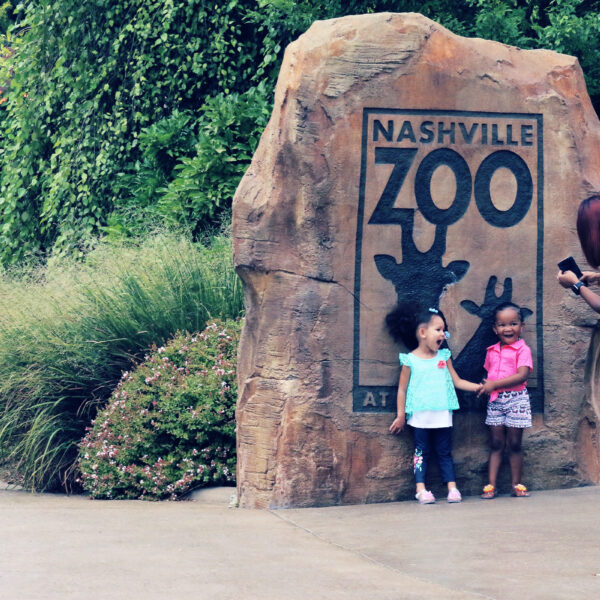 Zoo Officials Horrified by AI Data Center Menacing&hellip;