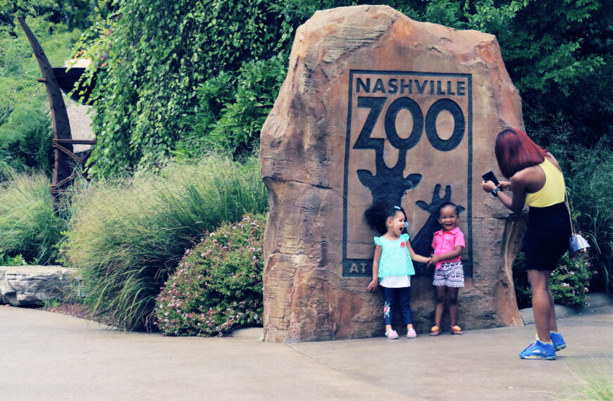 Zoo Officials Horrified by AI Data&hellip;