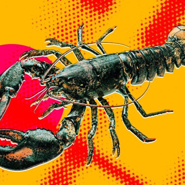Biohackers Attempted Neurosurgery to Control a Lobster’s Nervous&hellip;