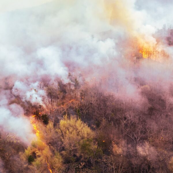 El Niño Set to Upend the World Economy