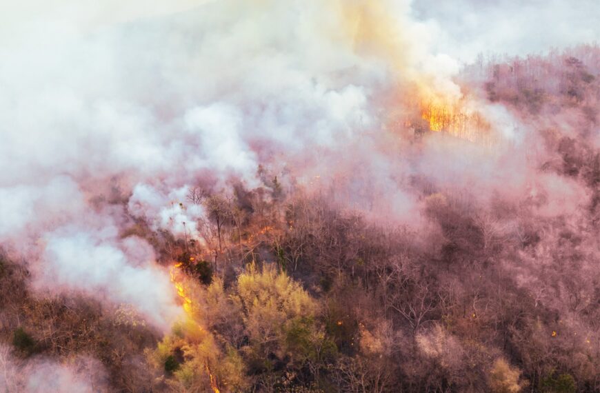 El Niño Set to Upend the World Economy
