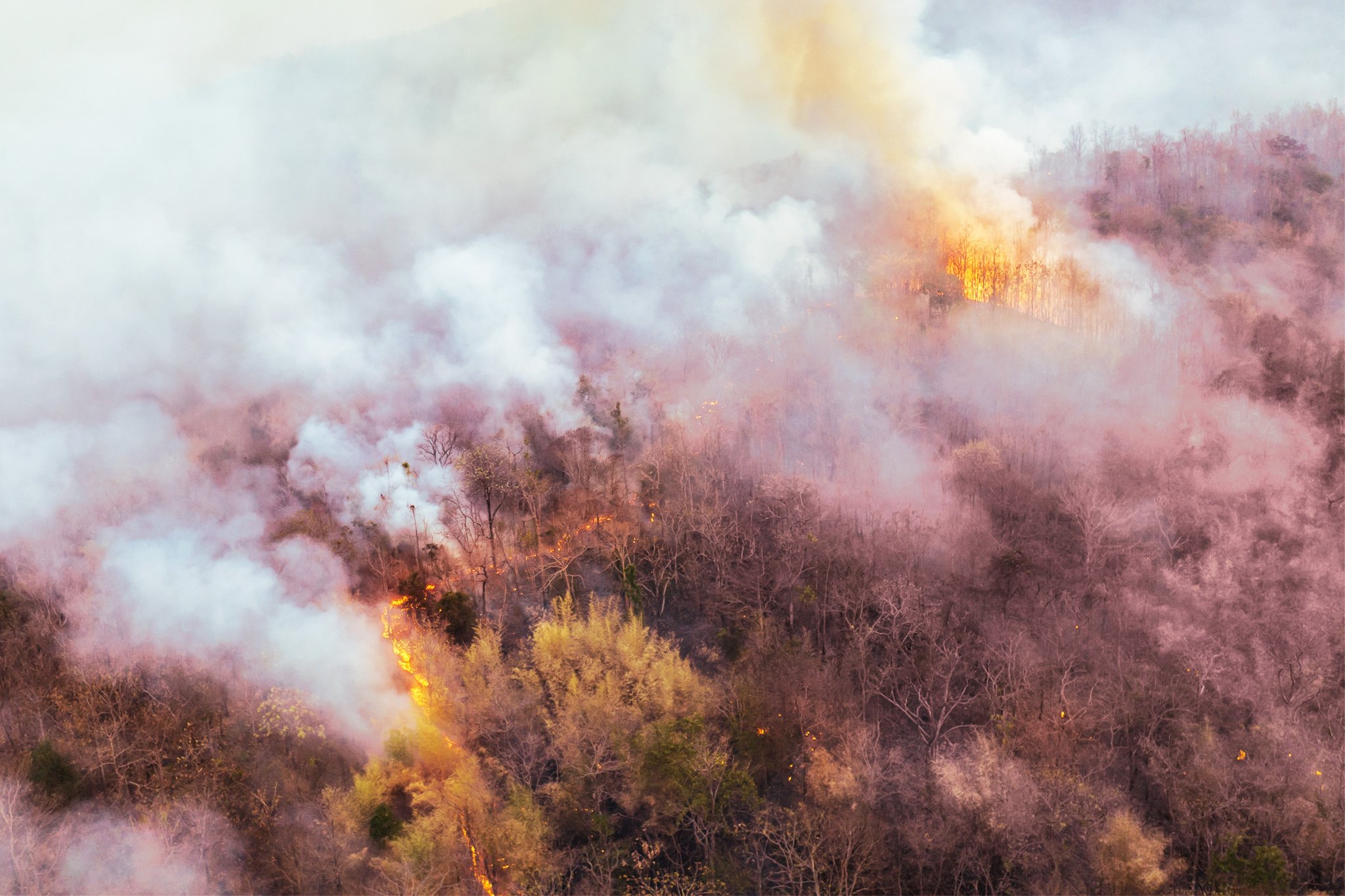 El Niño Set to Upend the World Economy