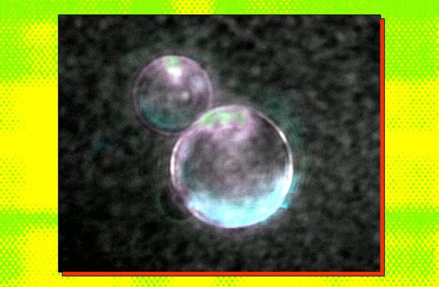 Scientists Build Fully Synthetic Life Form That Can&hellip;
