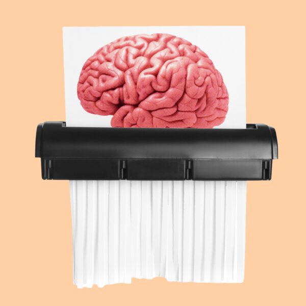 The Hectic Modern World Is Shredding Your Little&hellip;