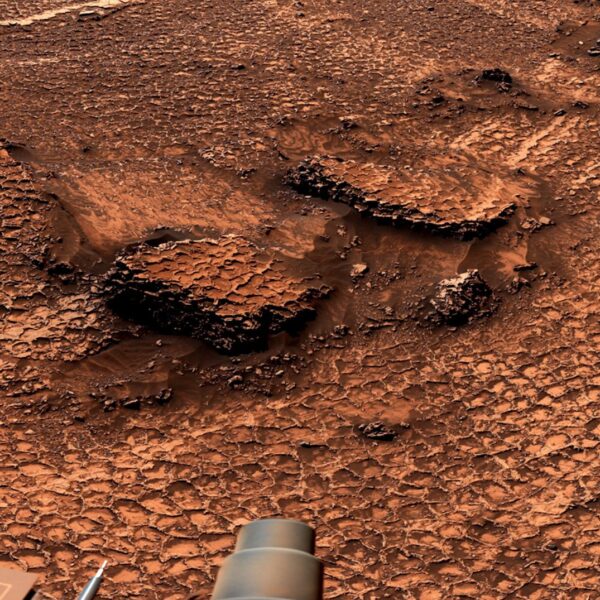 NASA Mars Rover Discovers Field of Mesmerizing Polygons