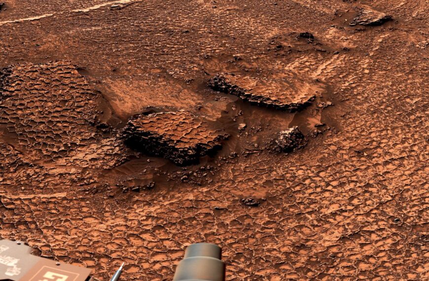 NASA Mars Rover Discovers Field of Mesmerizing Polygons