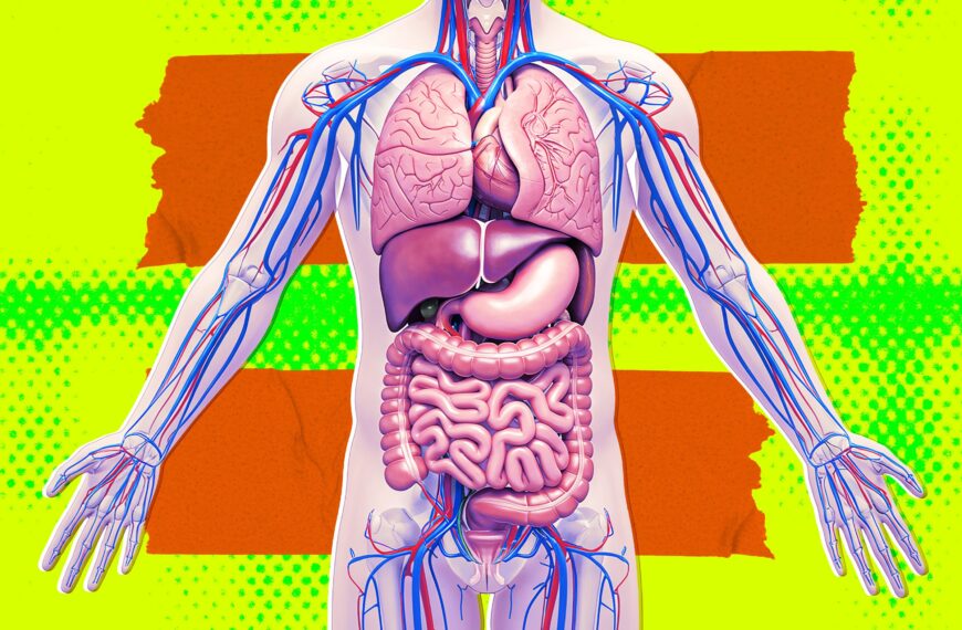 Secretive Silicon Valley Startup Tries to Quash Interview, Says It’s Definitely Not Working on Growing Brain-Free “Organ Sacks”
