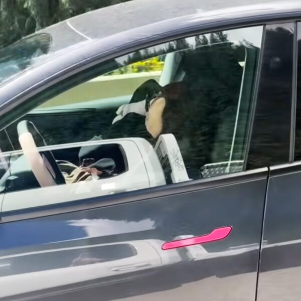 Tesla’s Safety Camera Lets Woman Cruising at Highway&hellip;