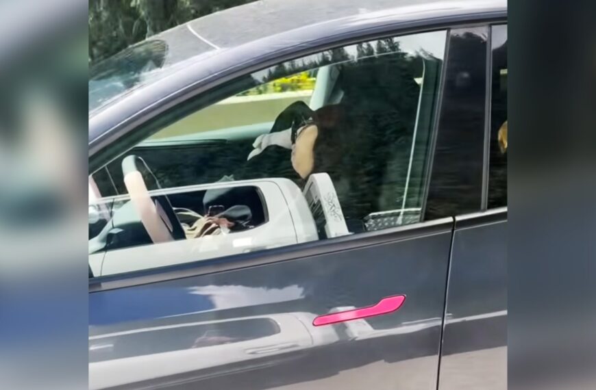 Tesla’s Safety Camera Lets Woman Cruising at Highway Speed While Completely Passed Out
