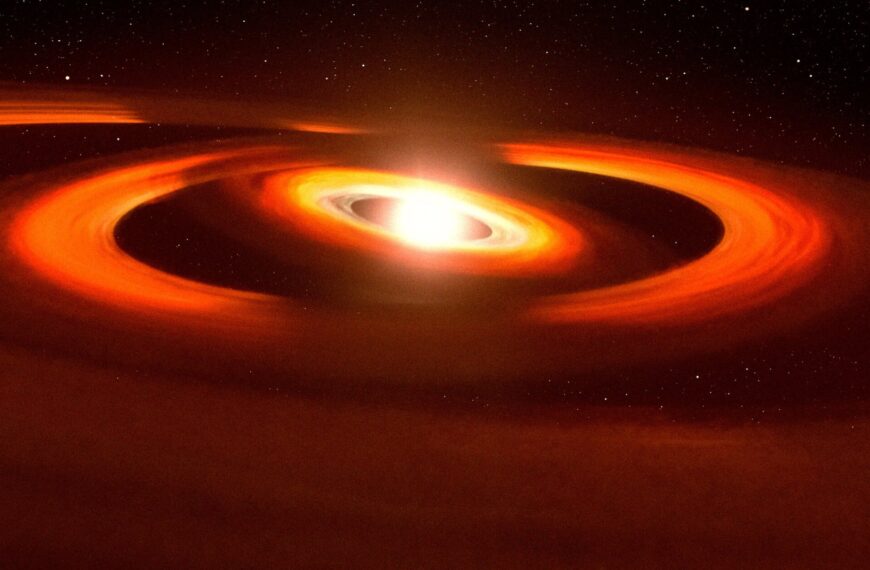 Astronomers Discover an Entirely New Type of Object: a “Black Hole Star”