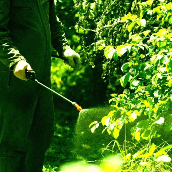 Farmer Horrified as AI Gives Bad Advice That&hellip;