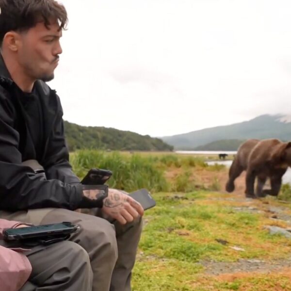 Streamers Now Going Live With Grizzly Bears, Which&hellip;