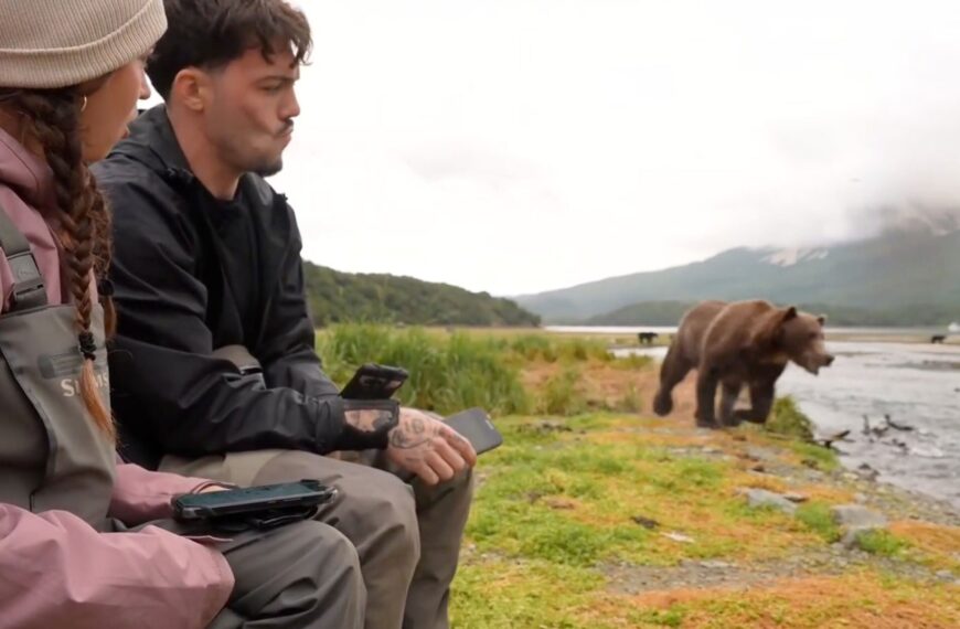 Streamers Now Going Live With Grizzly Bears, Which Will Surely End Well and Not Like in “Grizzly Man”