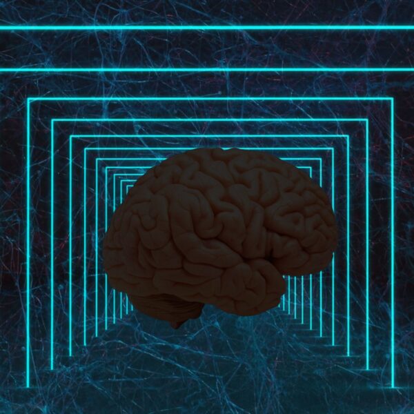 Wild New Paper Claims Human Brain Doesn’t Produce&hellip;