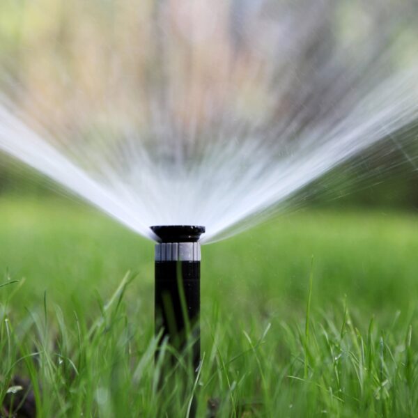 Data Center Caught Watering Its Lavish Lawn While&hellip;