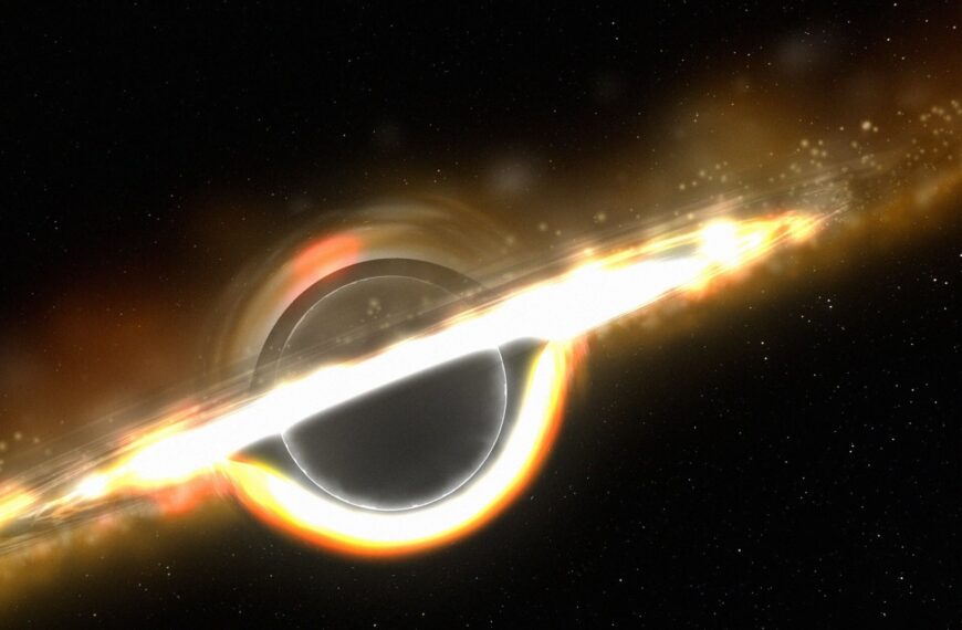 Strange Seeds Appear to Be Growing Into Massive Black Holes