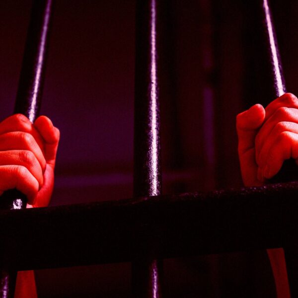 Police Use Flock to Jail Completely Innocent Woman&hellip;