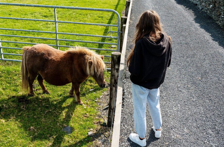 Scientists Claim That Three Minutes With a “Donkey or Small Horse” Can Save Teenagers From Depression