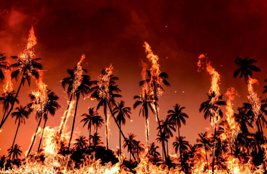 World Braces for Nearly a Half Million El Niño Deaths