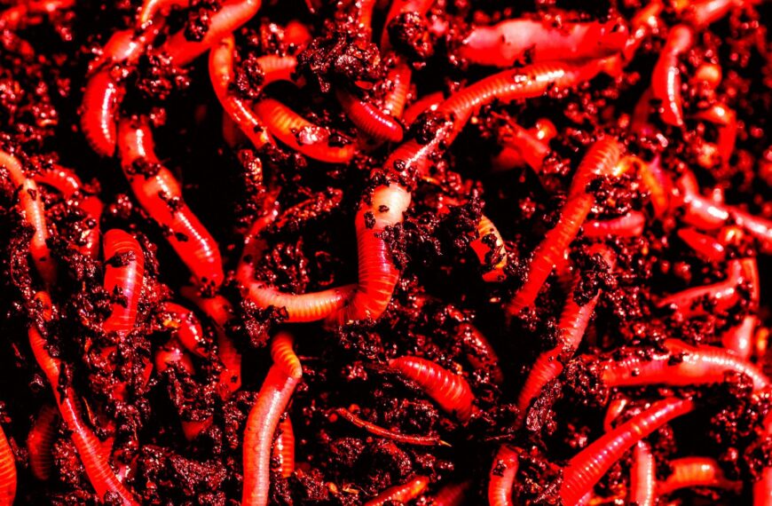 Anthropic Warns “AI Worms” Will Infect Your Smart Home Devices and Use Them to Self-Replicate Beyond Control