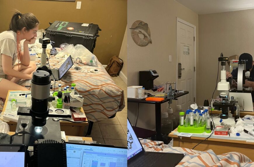Rag Tag Team of Biologists Who Lost Funding Because of Trump Turned a Motel Room into Makeshift Lab and Made a Groundbreaking Discovery