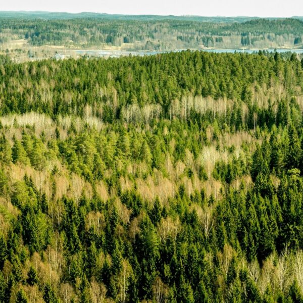 Finland Orders Google to Suspend New Data Centers&hellip;