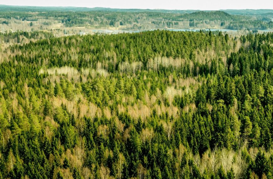 Finland Orders Google to Suspend New&hellip;
